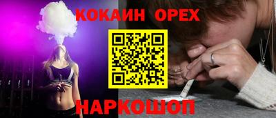 гидропоника Пугачёв