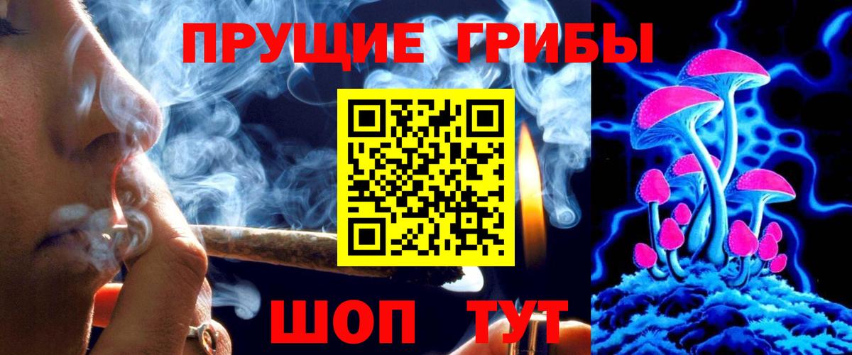 Галлюциногенные грибы Psilocybe Новозыбков