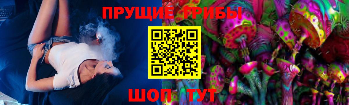 Новозыбков  Псилоцибиновые грибы Cubensis  Вход с VPN 